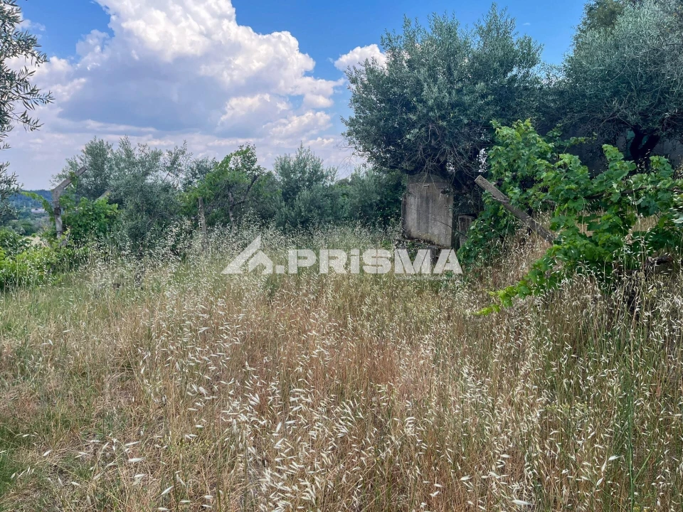 Terreno para Venda em Louriçal do Campo Foto 14