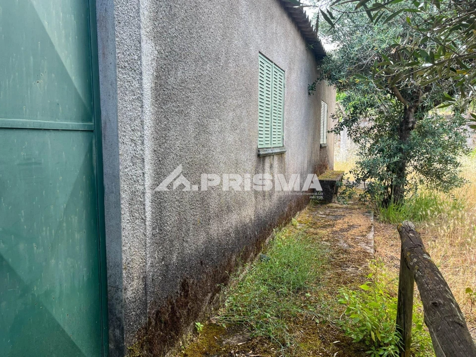 Terreno para Venda em Louriçal do Campo Foto 11