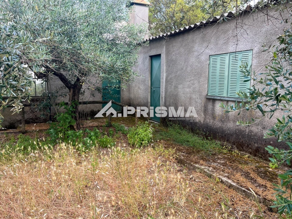 Terreno para Venda em Louriçal do Campo Foto 10