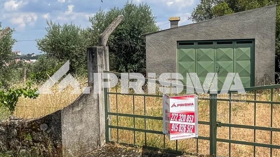 Terreno para Venda em Louriçal do Campo