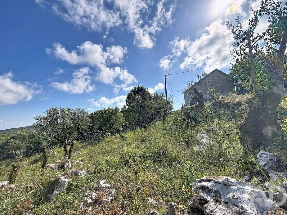 Terreno para Venda em Alvados e Alcaria Foto 8
