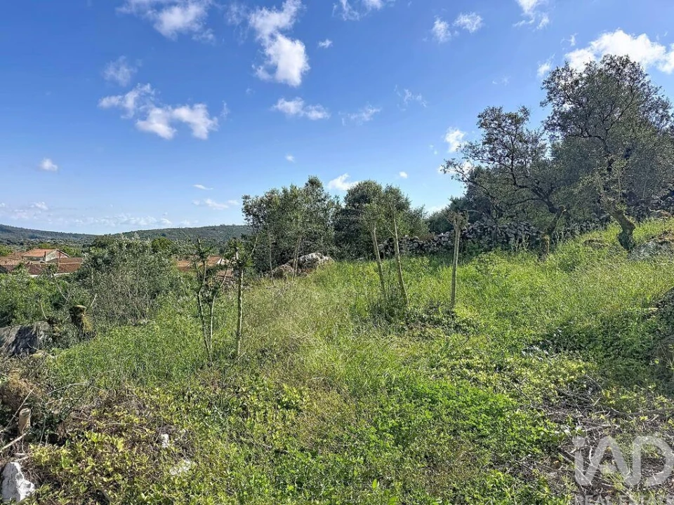 Terreno para Venda em Alvados e Alcaria Foto 17