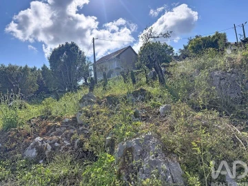 Terreno para Venda em Alvados e Alcaria