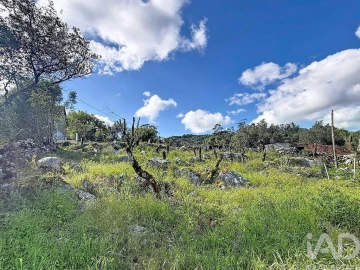 Terreno para Venda em Alvados e Alcaria