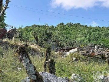 Terreno para Venda em Alvados e Alcaria