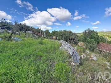 Terreno para Venda em Alvados e Alcaria