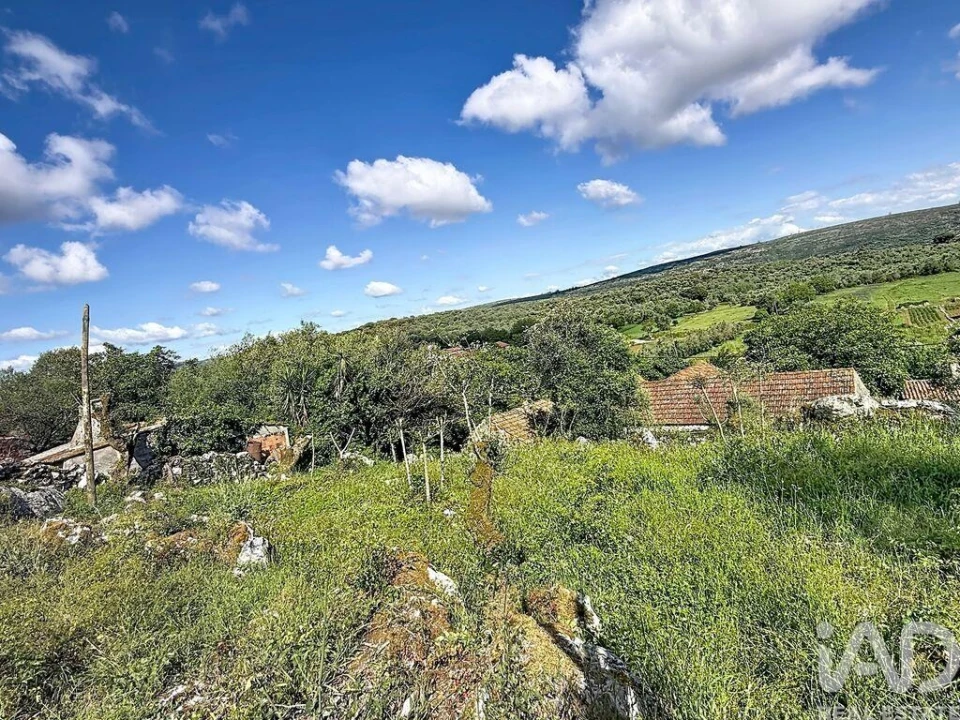 Terreno para Venda em Alvados e Alcaria Foto 9