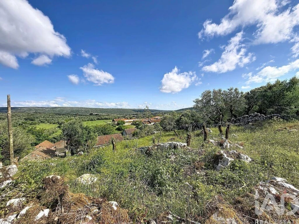 Terreno para Venda em Alvados e Alcaria Foto 18