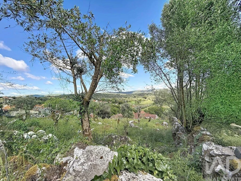 Terreno para Venda em Alvados e Alcaria Foto 20