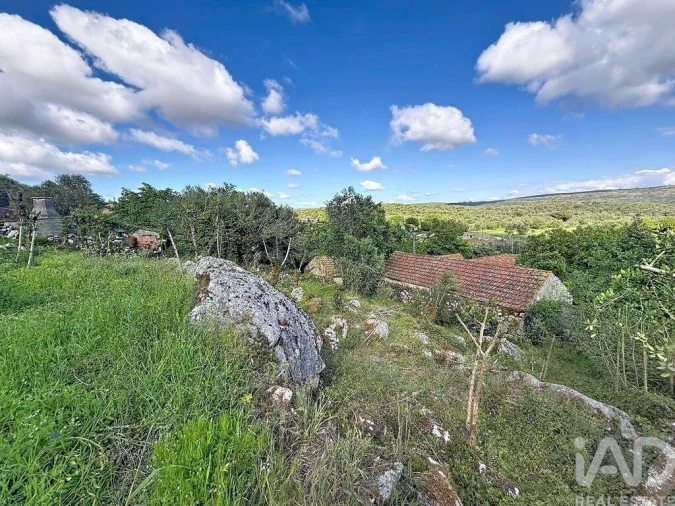 Terreno para Venda em Alvados e Alcaria Foto 11