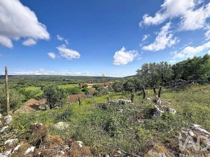 Terreno para Venda em Alvados e Alcaria Foto 18