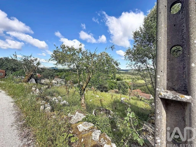 Terreno para Venda em Alvados e Alcaria Foto 2