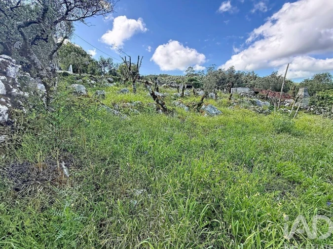 Terreno para Venda em Alvados e Alcaria Foto 12