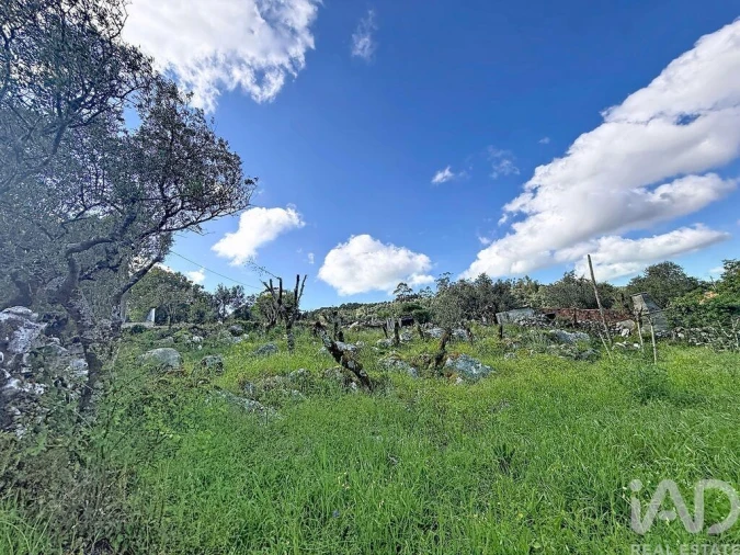 Terreno para Venda em Alvados e Alcaria Foto 3