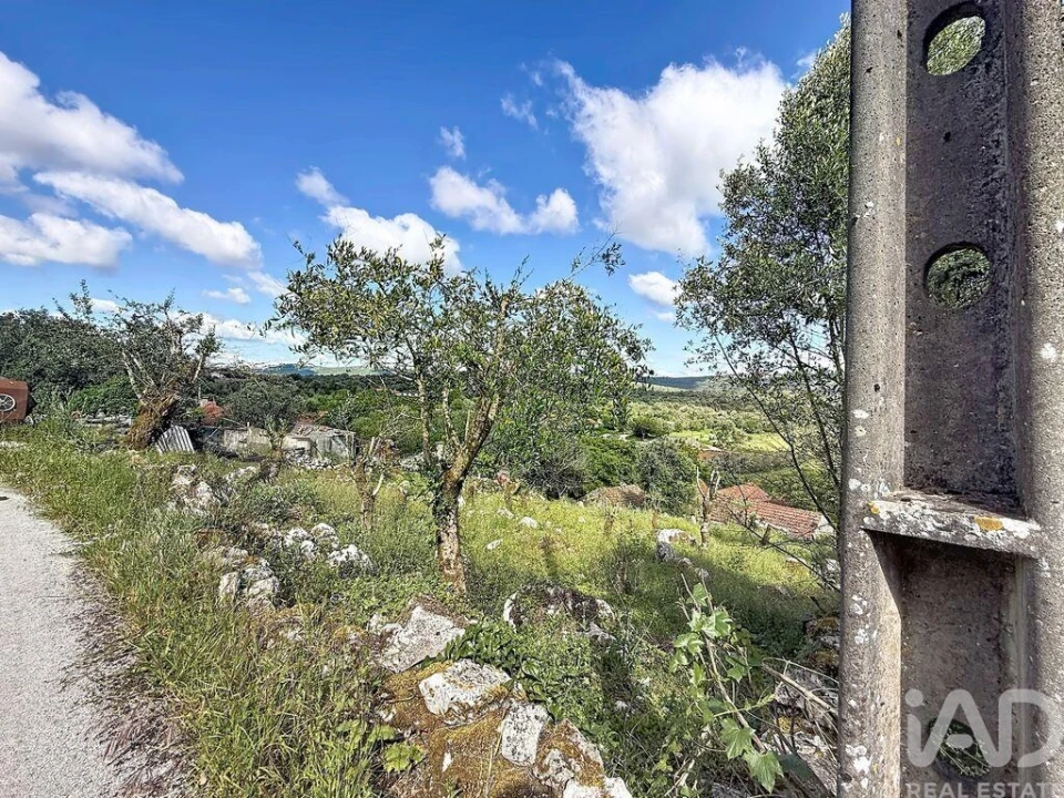 Terreno para Venda em Alvados e Alcaria Foto 2