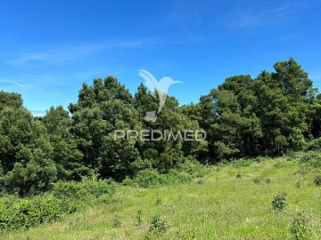 Terreno para Venda em São Roque do Pico