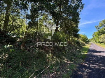 Terreno para Venda em São Roque do Pico