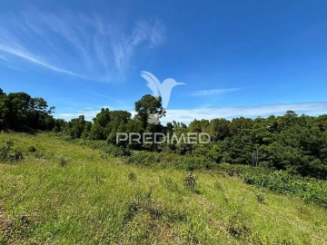 Terreno para Venda em São Roque do Pico