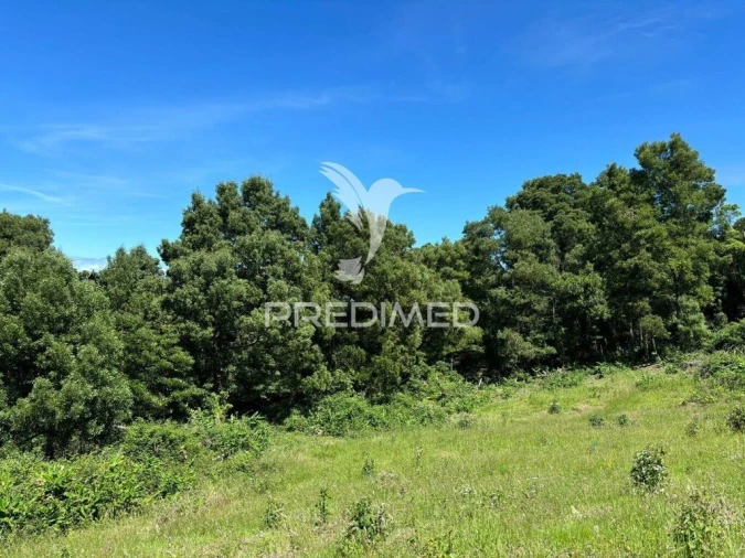Terreno para Venda em São Roque do Pico Foto 6