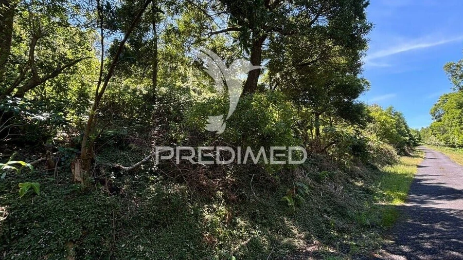Terreno para Venda em São Roque do Pico