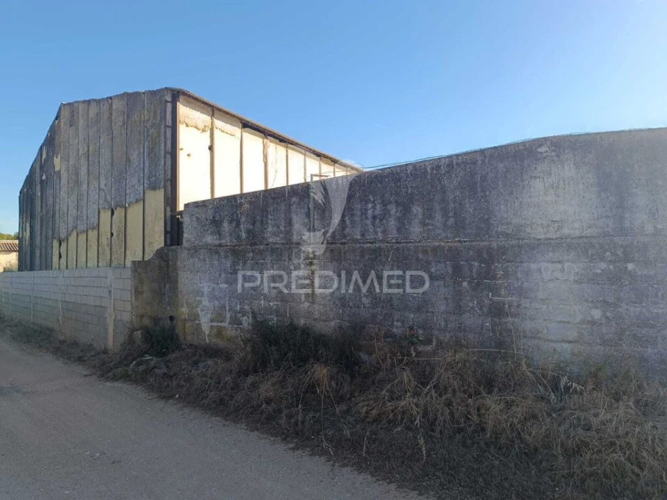 Armazém para Venda em Ameixial (Santa Vitória e São Bento) Foto 9
