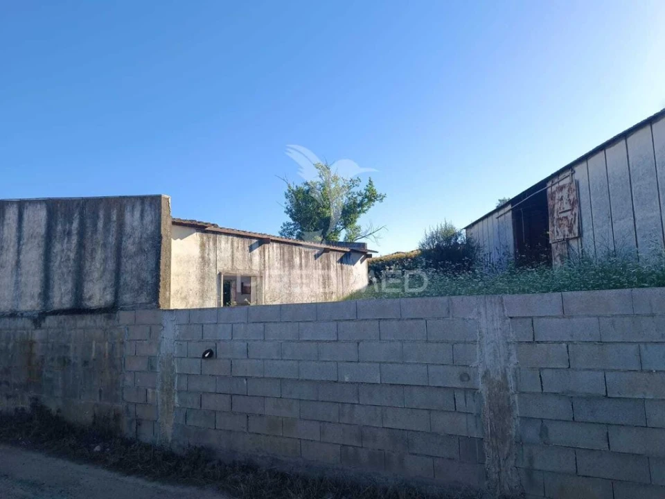 Armazém para Venda em Ameixial (Santa Vitória e São Bento) Foto 6