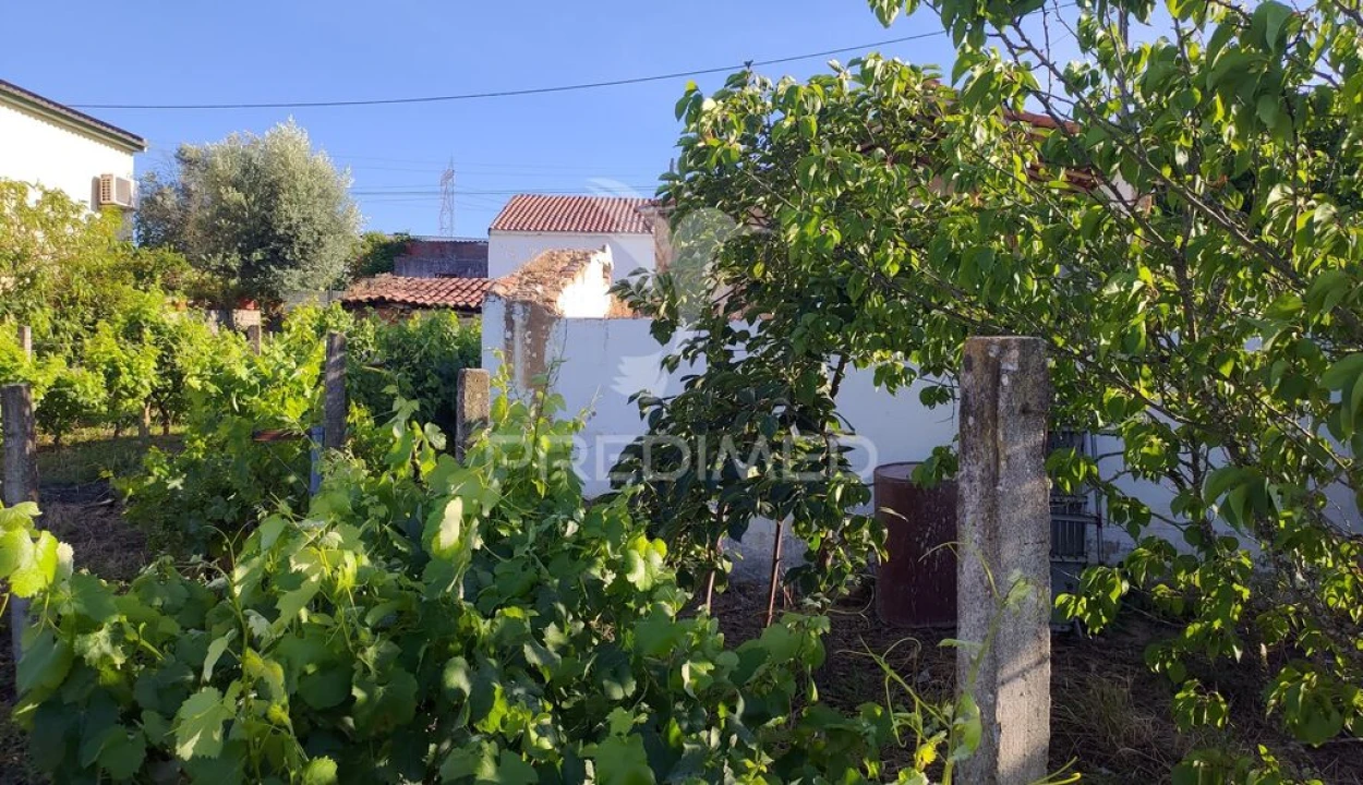Moradia T3 para Venda em Santa Margarida da Coutada Foto 19