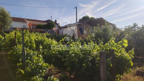 Moradia T3 para Venda em Santa Margarida da Coutada