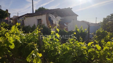 Moradia T3 para Venda em Santa Margarida da Coutada