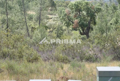 Terreno para Venda em Benquerenças