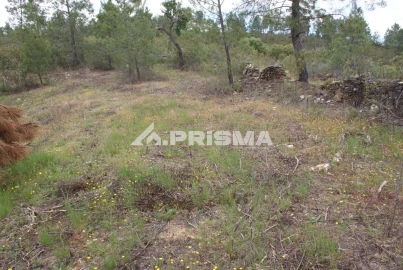 Terreno para Venda em Benquerenças