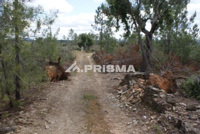 Terreno para Venda em Benquerenças
