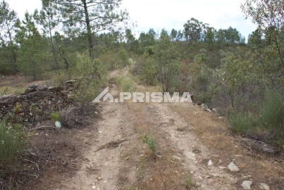 Terreno para Venda em Benquerenças
