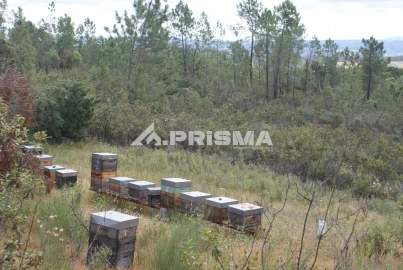 Terreno para Venda em Benquerenças