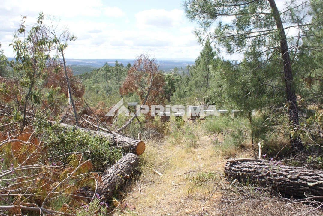 Terreno para Venda em Benquerenças Foto 1