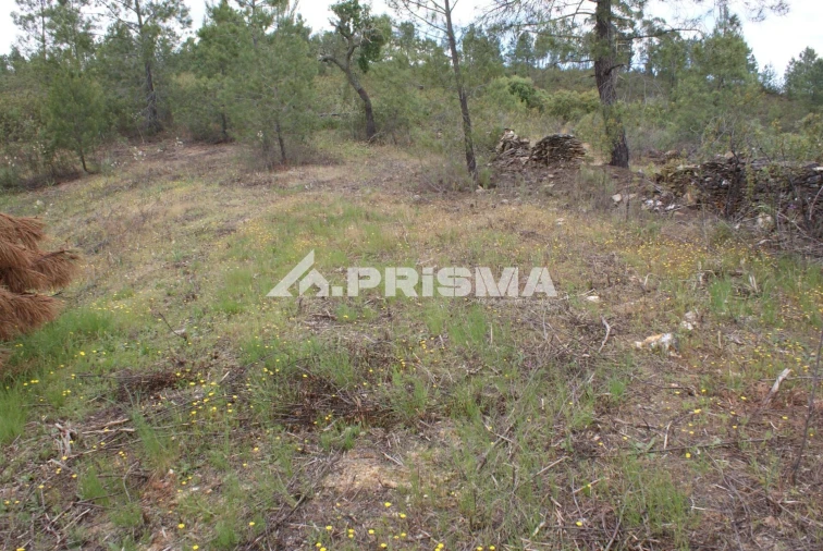 Terreno para Venda em Benquerenças Foto 14
