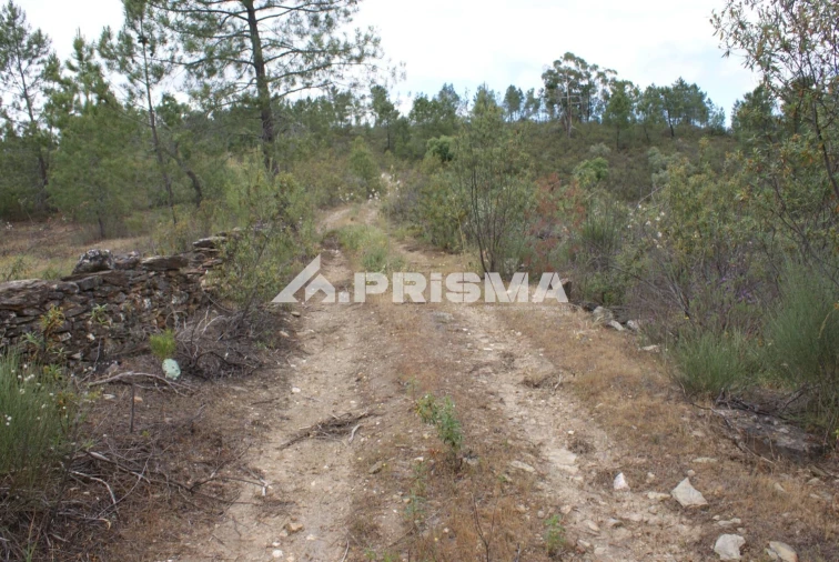 Terreno para Venda em Benquerenças Foto 15