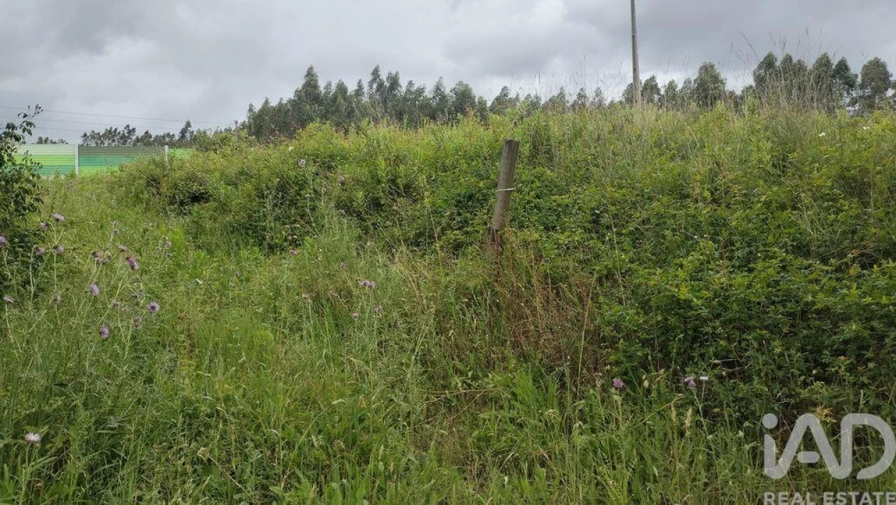 Terreno para Venda em Santo Antonio dos Olivais Foto 7