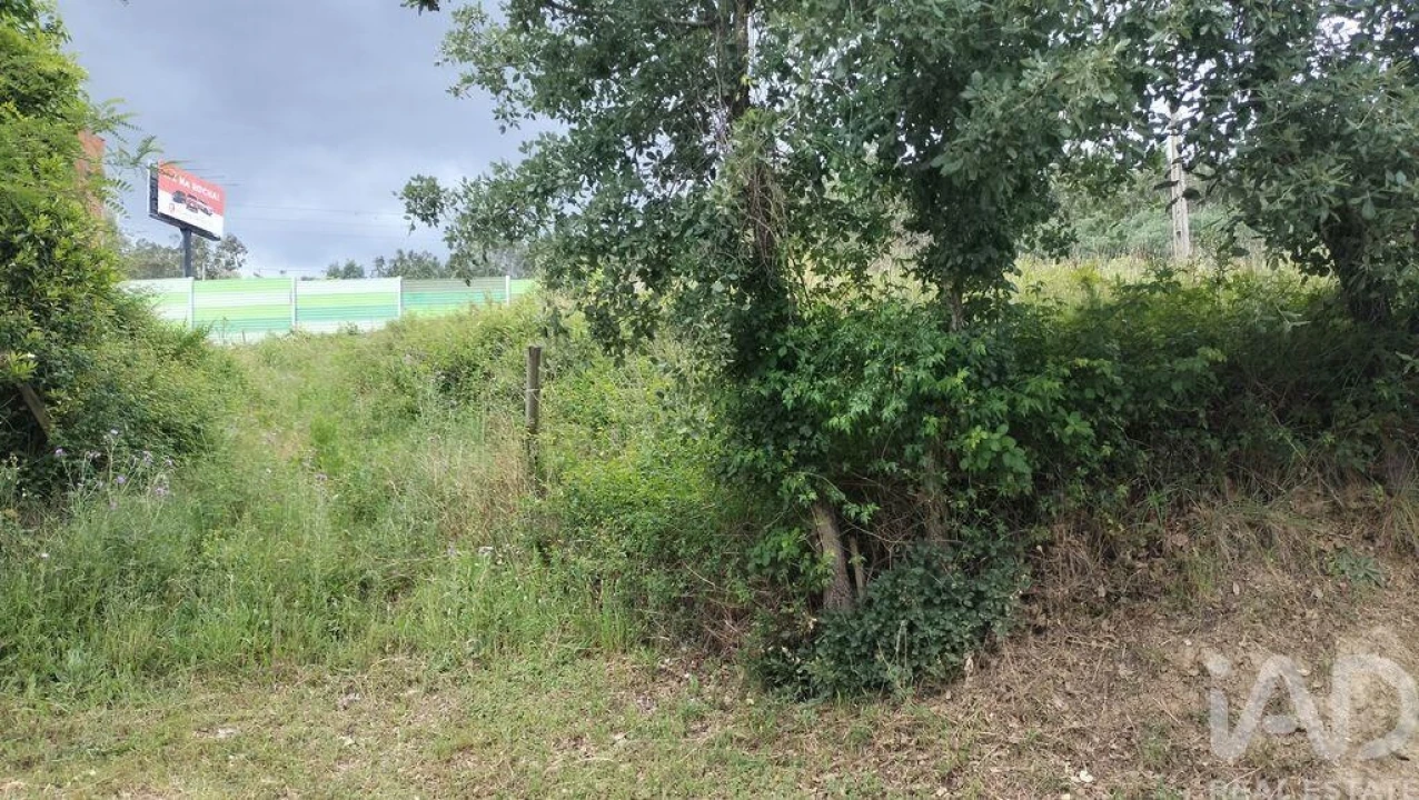 Terreno para Venda em Santo Antonio dos Olivais Foto 21