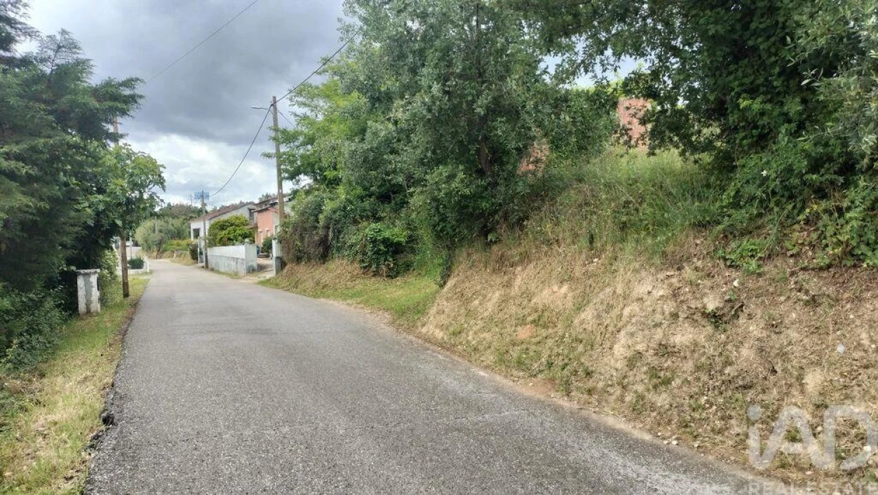 Terreno para Venda em Santo Antonio dos Olivais Foto 5