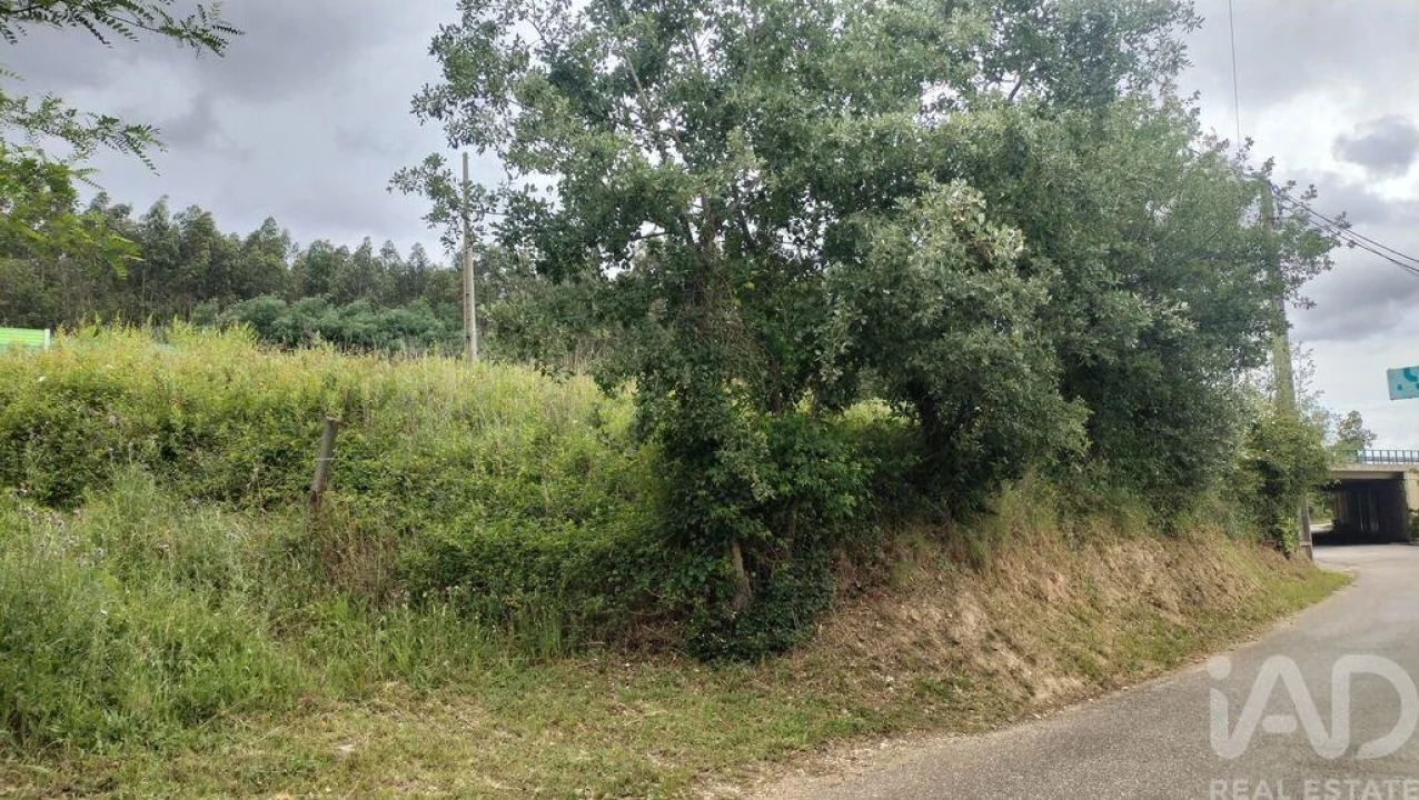 Terreno para Venda em Santo Antonio dos Olivais Foto 1