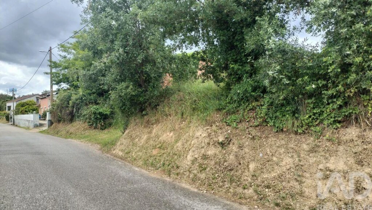 Terreno para Venda em Santo Antonio dos Olivais Foto 3