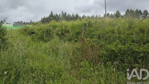 Terreno para Venda em Santo Antonio dos Olivais