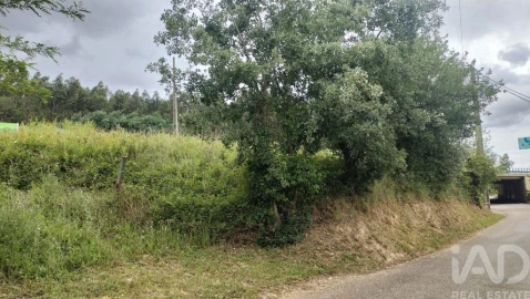 Terreno para Venda em Santo Antonio dos Olivais