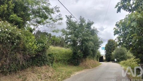 Terreno para Venda em Santo Antonio dos Olivais