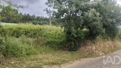 Terreno para Venda em Santo Antonio dos Olivais