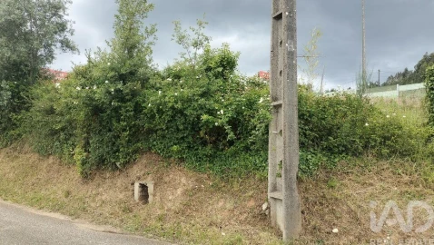 Terreno para Venda em Santo Antonio dos Olivais