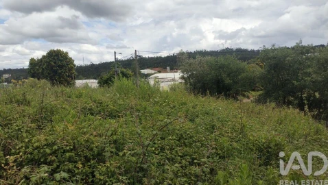 Terreno para Venda em Santo Antonio dos Olivais