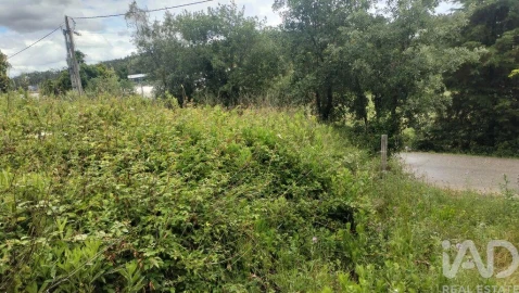 Terreno para Venda em Santo Antonio dos Olivais