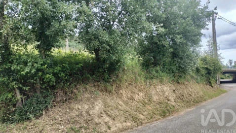Terreno para Venda em Santo Antonio dos Olivais
